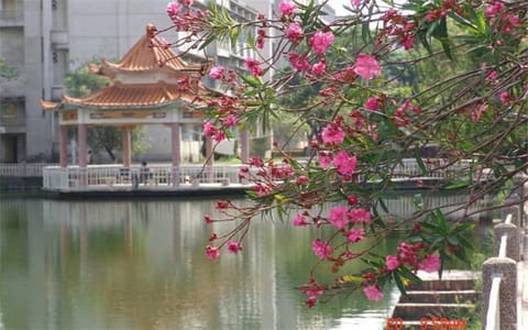 广东医科大学·校园风光