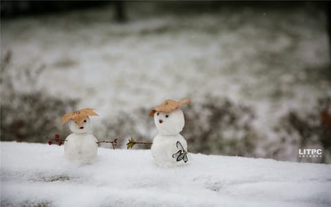 洛阳理工学院·雪人