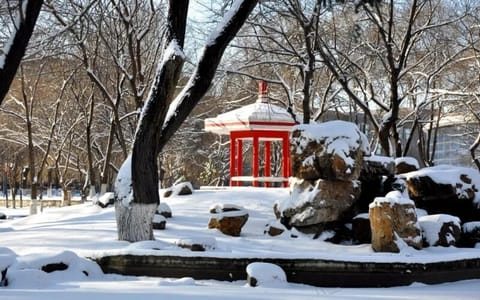 吉林农业科技学院·雪