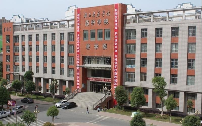 湖北医药学院药护学院主图·教学楼