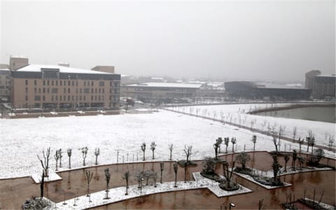 武汉晴川学院·冬天雪景