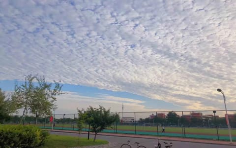 北京科技大学天津学院·校园风光2