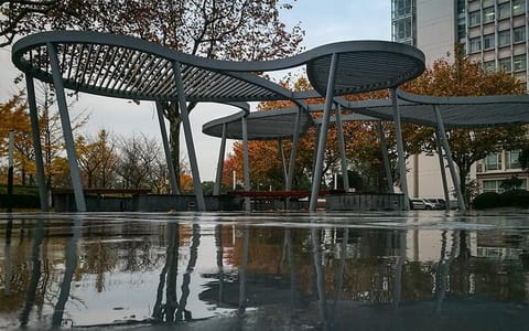 上海第二工业大学·雨后