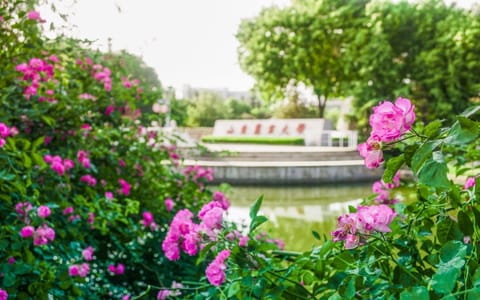 山东农业大学·校园风光