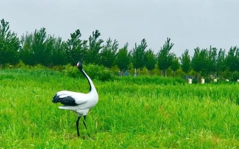 黑龙江八一农垦大学·校园风光