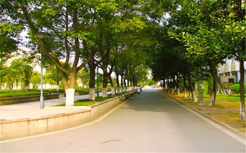 武汉纺织大学·校园小路