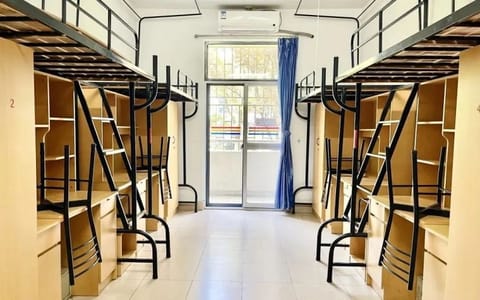 上海大学·校园风光