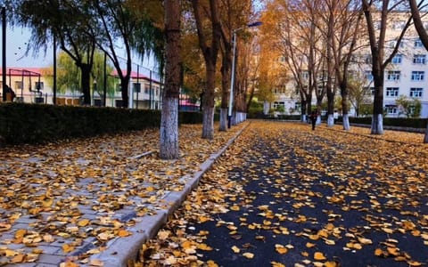 哈尔滨学院·校园风光8