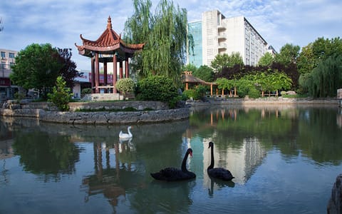 徐州医科大学·湖