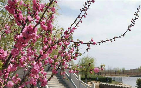 辽宁师范大学海华学院·校园风光16