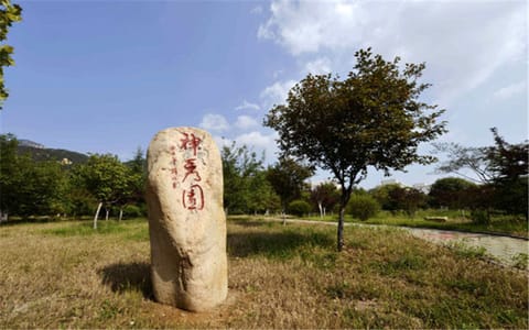 泰山学院·校园风光5