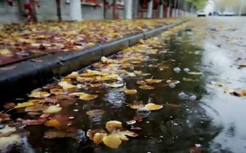 北京科技大学天津学院·校园风光7