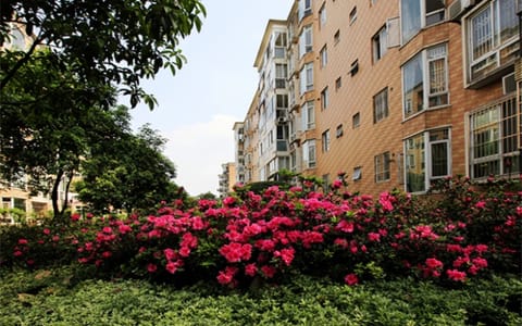 西南石油大学·西南石油大学1
