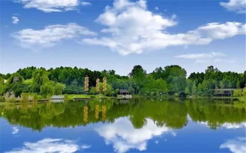 武汉生物工程学院·校园绿景