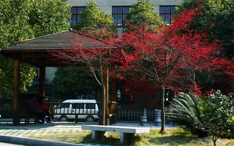 怀化学院·书山广场一角