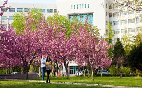 大连交通大学·校园的春