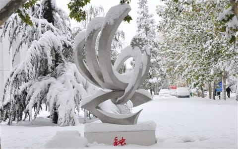 郑州警察学院·纪念雕塑