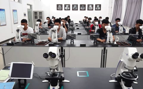 辽宁科技学院·冶金工程学院-冶金工程（本科）