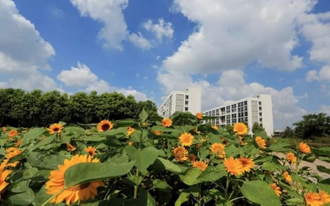 南京医科大学·校园风光