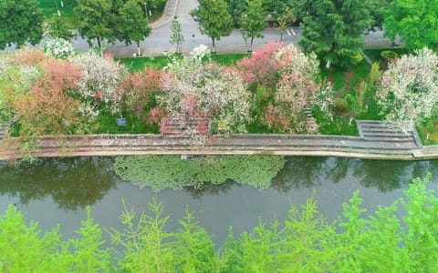 三峡大学·校园风光4