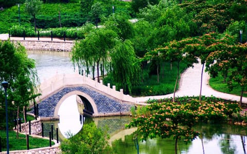 天津科技大学·校园风景3