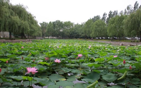 沈阳师范大学·徕贤湖
