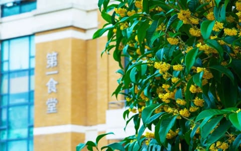 上海应用技术大学·校园风光