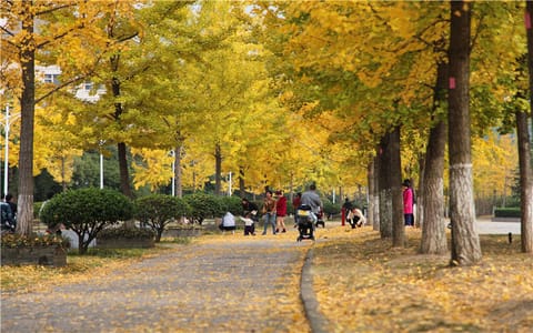 浙江农林大学·校园风景2