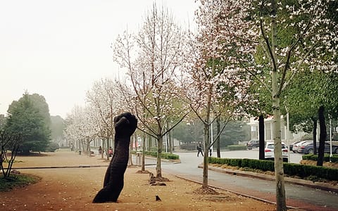 上海视觉艺术学院·风景