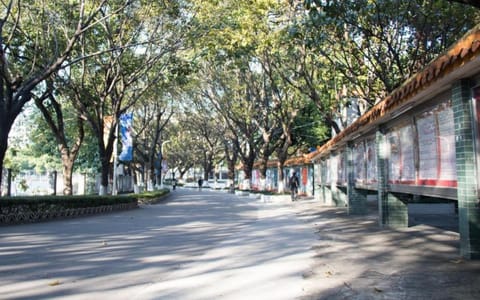 东莞理工学院·莞城校区校道