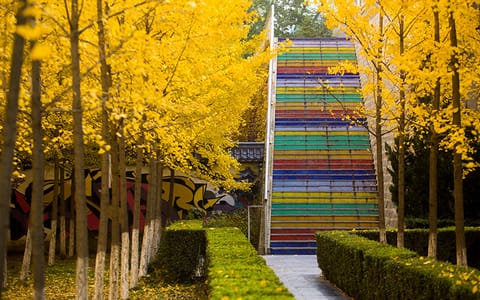 西京学院·校园风光