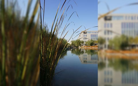 河北师范大学·湖镜