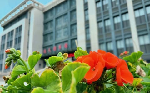 太原工业学院·静待花开