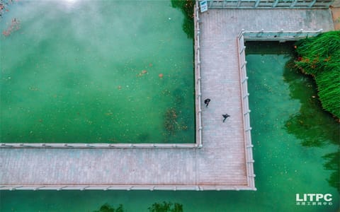 洛阳理工学院·秋景5
