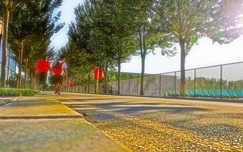 沈阳体育学院·沈阳体育学院4
