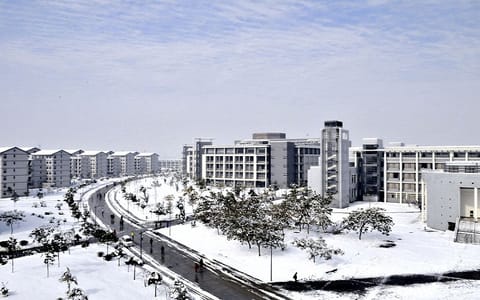 安徽大学·校园雪景