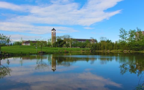 成都东软学院·校园风景9