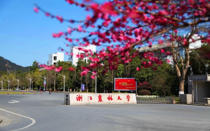 浙江农林大学主图·浙江农林大学