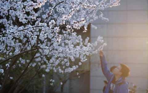 中国人民大学·春季校园