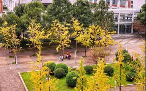成都师范学院·秋意浓浓