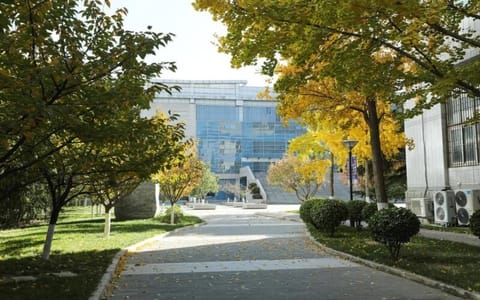 北京联合大学·落叶