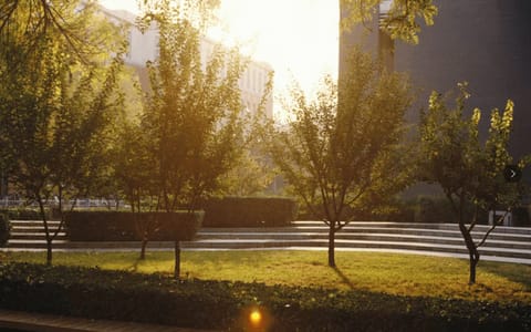 北京林业大学·校园风光02