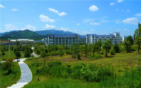 池州学院·小道