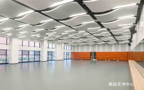江西科技学院·舞蹈艺术中心