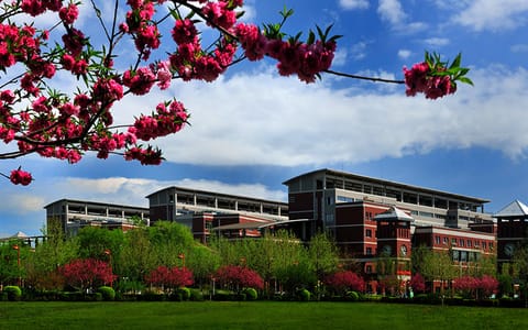 河北大学·新区A3-A6