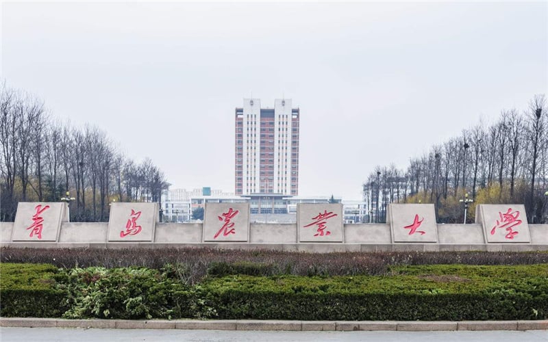 青岛农业大学主图·校园风光6