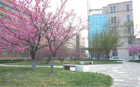 山东石油化工学院·校园风光2