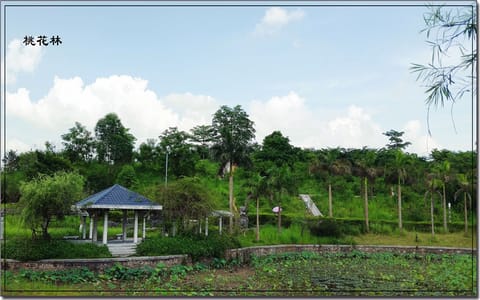 玉林师范学院·桃花林