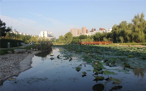 黄淮学院·校园风光2