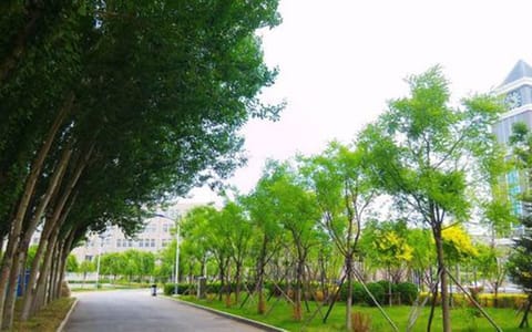 辽宁传媒学院·校园即景